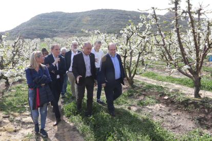 Iceta (derecha) visitó ayer un campo de cerezos en flor de Alcarràs.