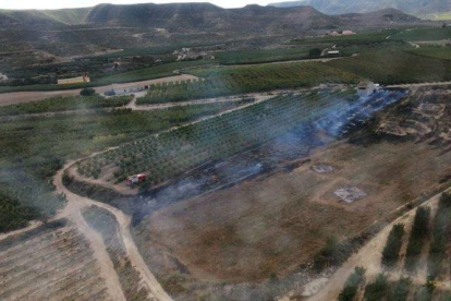 Incendi de vegetació agrícola ahir entre la Granja i Maials.