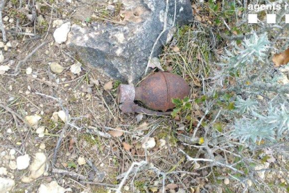Vista de la granada que es va trobar en un terreny forestal.