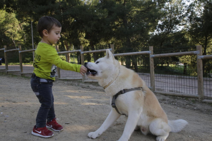 Imagen de archivo de un niño jugando con su perro en el Parc de Santa Cecília de Lleida. 