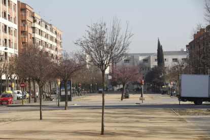 La rambla de Pardinyes és un dels carrers amb arbres morts.