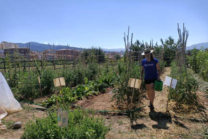 Una voluntària, conreant l’hort que l’associació Alba Jussà té a Tremp.