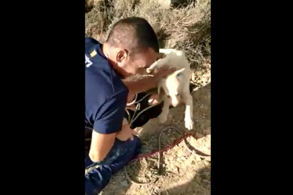 VÍDEO | Rescatan cinco cachorros de perro enterrados en Alguaire