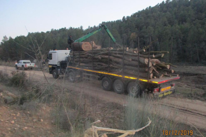 Un dels camions que la constructora utilitza per al transport dels arbres talats.