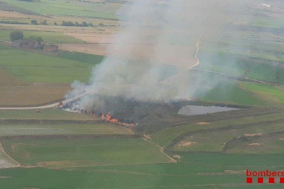 Un incendio quema 3 hectáreas de un campo de manzanos en Alcoletge