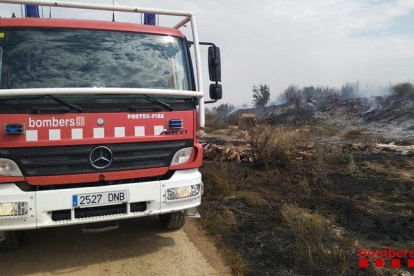 Un incendi crema 3 hectàrees d'un camp de pomeres a Alcoletge
