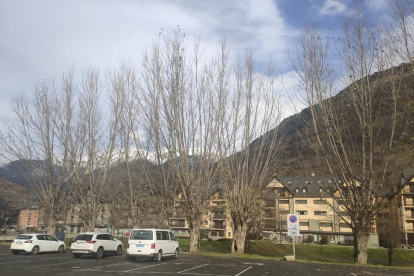 Los árboles de la zona de parking de los antiguos cuarteles.