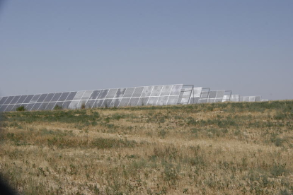 Denuncian un proyecto para una central solar de 60 hectáreas en la Conca de Tremp