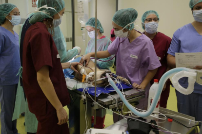 La unidad quirúrgica docente de la UdL dispone de aparatos para hacer TAC y resonancias.