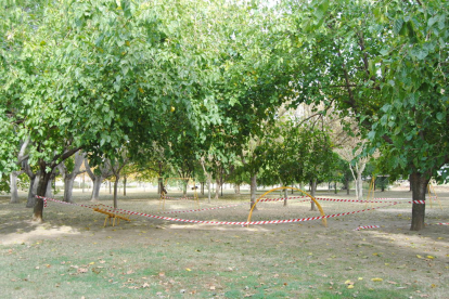 Vista del Parc de la Serra de Mollerussa precintado, donde el domingo hubo una fiesta ilegal. 
