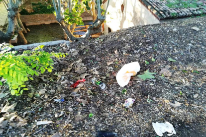 Escombraries a terra a la zona del Salt del Duran.