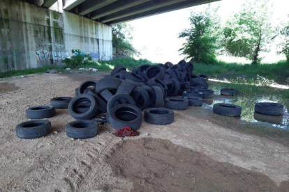 Els pneumàtics que van aparèixer al costat de la carretera C-13 a la partida de la Femosa.