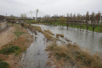 El río Segre, a su paso por Lleida, ayer por la mañana. Registró una punta de 83 m3/sg la noche antes.