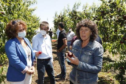 La consellera Jordà muestra una nectarina destrozada en un campo de Soses junto a la alcaldesa.