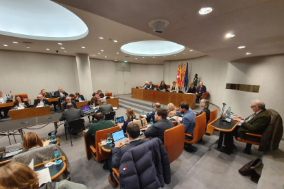 Los miembros de la Diputación de Barcelona durante el pleno.