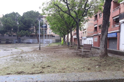 Un parque de la capital lleno de malas hierbas.