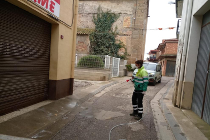 Trabajos de desinfección en la avenida del Canal de Mollerussa. 