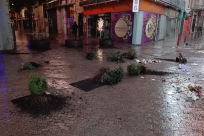 Imágenes de las plantas de las jardineras arrancadas y tiradas por el suelo y basura en la calle Democràcia ayer por la madrugada.