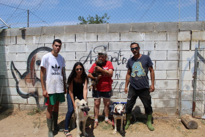 Voluntaris i la responsable de la protectora Lydia Argilés de Lleida, ahir amb alguns dels gossos.