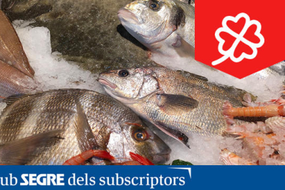 Peixos Savall ens ofereix un mar de productes frescos i de primera qualitat, ara també amb repartiment a Lleida, Balaguer i Tàrrega.