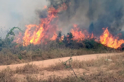 Uno de los incendios que queman la Amazonia brasileña.