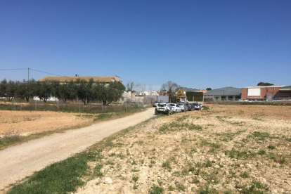 La policia entra en un magatzem en el marc de l'operació contra el tràfic de marihuana a Alcarràs.