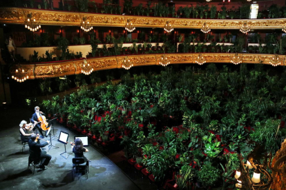 Las plantas 'colonizan' el Liceu en un singular concierto de reobertura