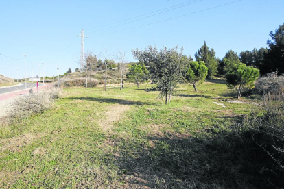 Lugar en el que se prevé construir la zona de picnic y barbacoas, detrás del turó de Gardeny. 