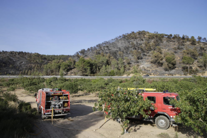 La zona de Mas de Noguers, a Maials, després de l’incendi que ha calcinat 27,5 hectàrees de vegetació.