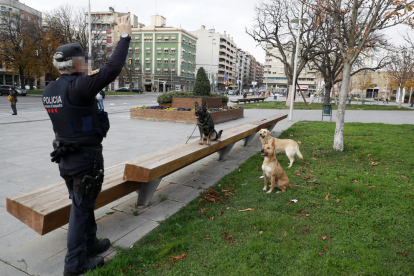 El cabo de la unidad con Sam, Nua y Nina, tres de los cinco perros del equipo, en un servicio en la estación del AVE Lleida-Pirineus. 