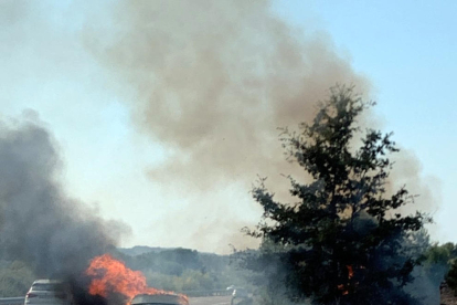 Un incendi crema un turisme i massa forestal a l'AP-2 a l'Albi
