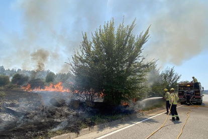 Els Bombers sufocant l’incendi que ahir va cremar 1,5 hectàrees a Sanaüja.