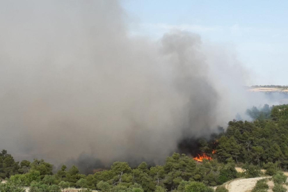 Un incendio quema diez hectáreas de vegetación agrícola y forestal entre Nalec y Rocafort