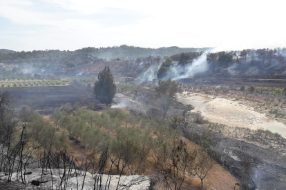 Imatge de l’incendi que va cremar 28 hectàrees entre Batea, Maella i Calaceit ahir a la tarda.