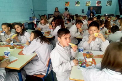 La Paeria ensenya hàbits saludables per esmorzar en 19 escoles de Lleida
