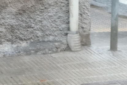 Una de las ratas en la calle Pere de Sant Climent.