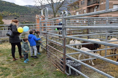 Imatge de nens visitant un dels corrals de la Fira de Sant Andreu d’Organyà.