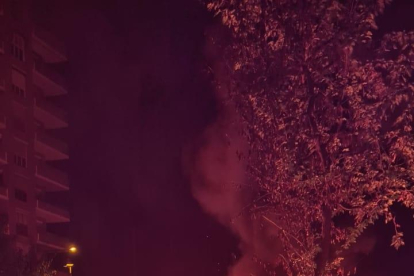Imatge del foc a passeig de Ronda.