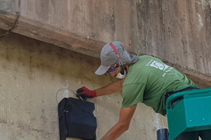 Un operari instal·lant una de les caixes al parc del Riu.
