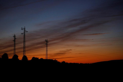 Un grup de cigonyes es posen sobre els pals de la línia elèctrica.