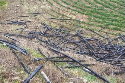 Imagen de los trozos de cable robado ayer en Llorenç.