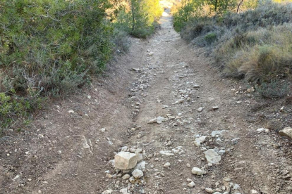 Surcos provocados por las motos en la montaña de Els Bessons. 