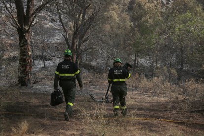 Imagen de dos agentes rurales en una zona quemada.