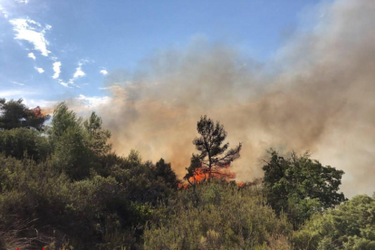 Un incendi calcina 7.000 metres quadrats de vegetació a l'Albagés