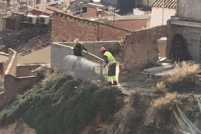 Operarios instalando mallas en el talud de la calle Obradores.
