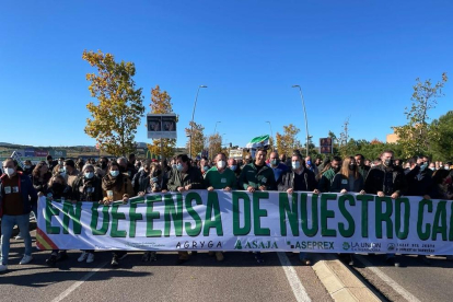 Protesta ayer de agricultores en Extremadura por la crisis. 