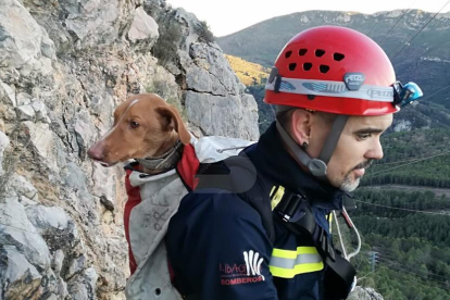 Rescatan un perro atrapado una noche en la presa de Canelles
