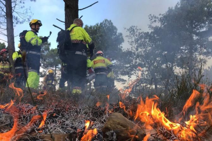 Un grup de bombers treballa en l’extinció d’un incendi.