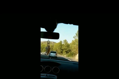 Un frame del vídeo del conductor temerario entre Flix y Maials. 