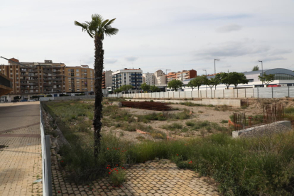 Imatge del solar en el qual estan previstes les dos torres, entre el pont de Pardinyes i la Llotja.